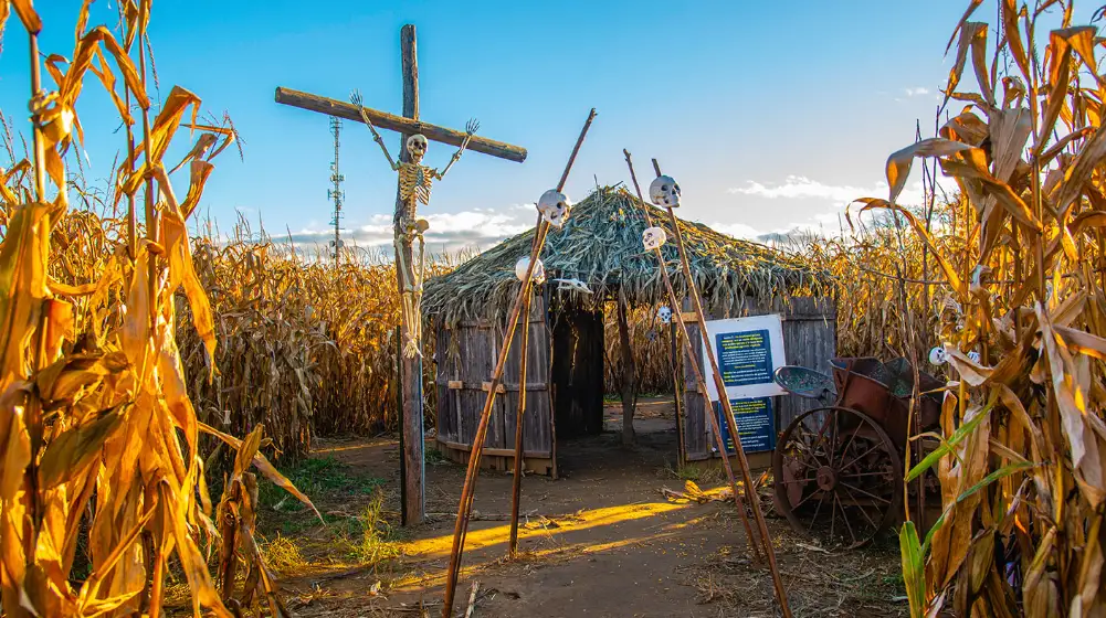 Haunted Corn Maze