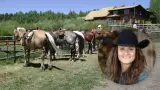 Thumbnail for Dude Ranch & Equine Must-Haves