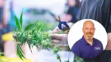 Thumbnail for Cannabis Insurance—From Seed to Store