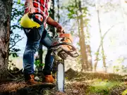 It's Time to Trim Your Trees