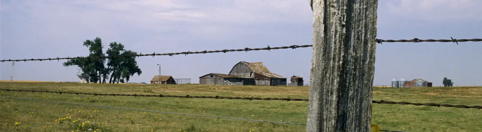 About Us - Leavitt Group of Western Utah