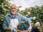 Retirement, Estate Planning