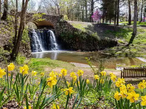 Winston Salem, NC Photo