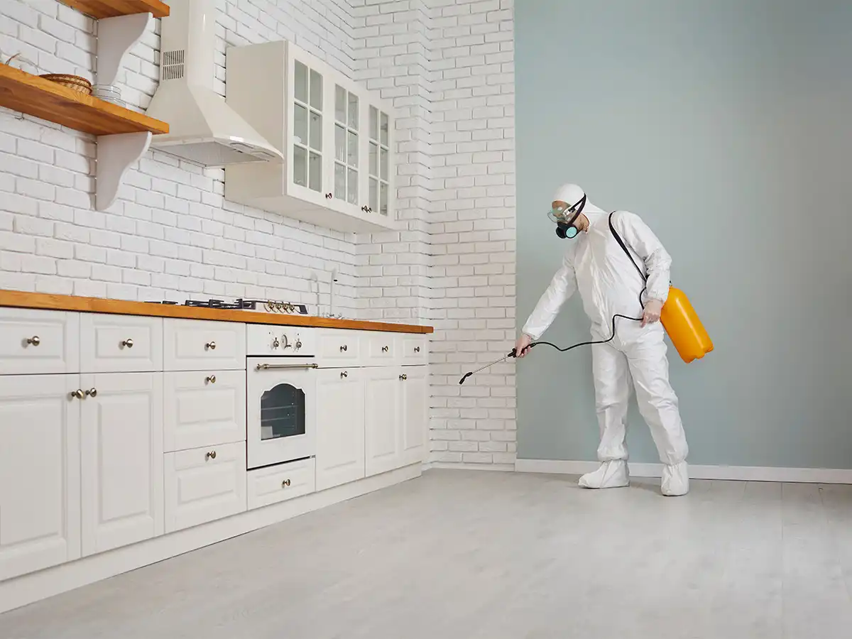 Blog How Much Does Pest Control Business Insurance Cost?