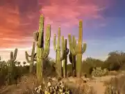 Gilbert, AZ Office