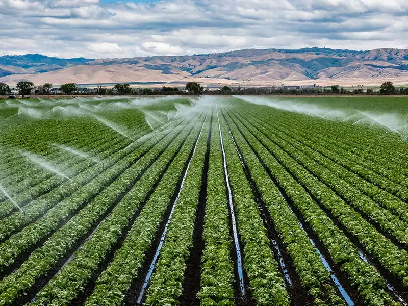Agricultural Insurance