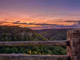 Fort Payne, AL Email Form