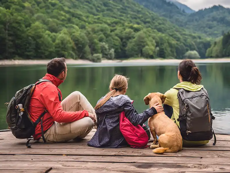 Life Insurance