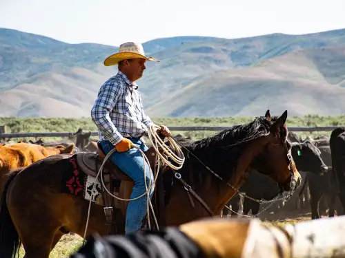 Dude Ranch Insurance