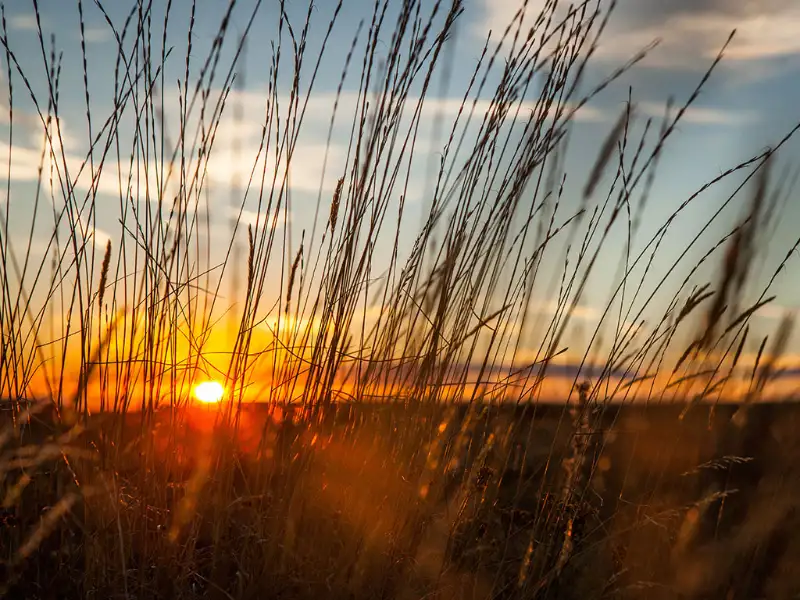 Torrington, WY Office
