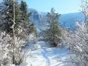 Mountain Home, ID Office