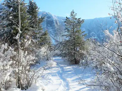 Mountain Home, ID Insurance Office