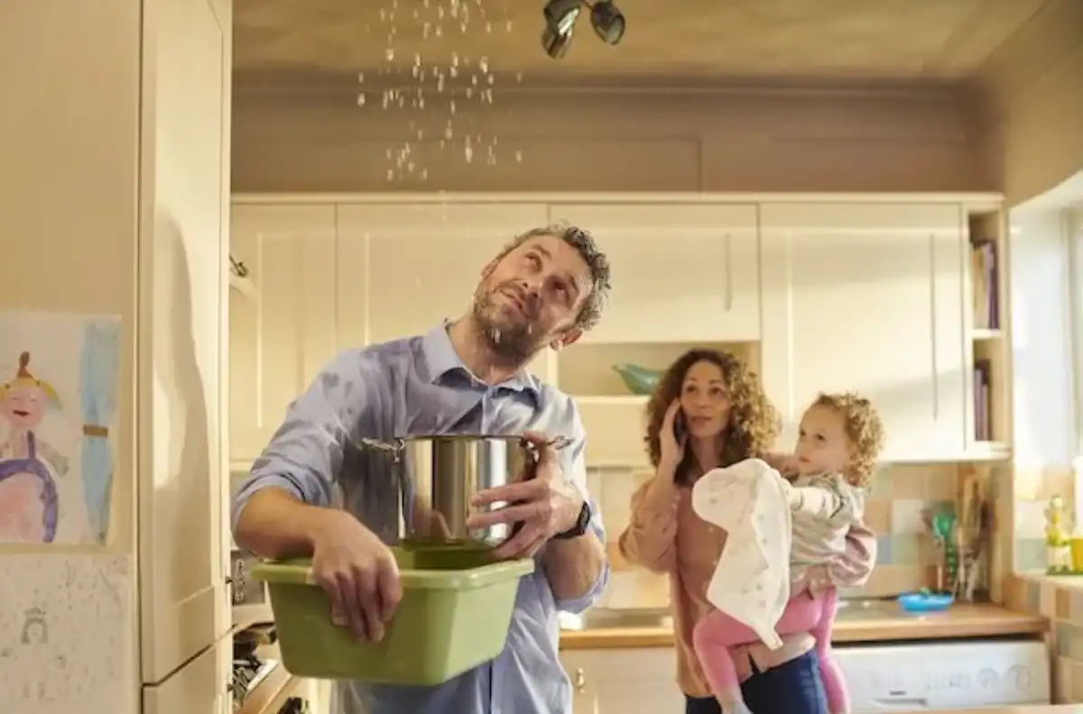 Blog The Smart Way to Avoid Water Damage in Your Home