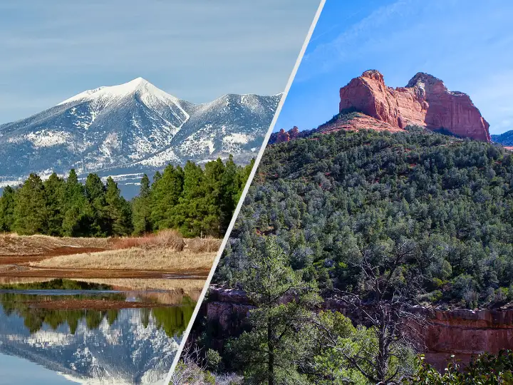 Leavitt Group of Northern Arizona Featured Image