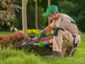 Featured Image for Do Landscapers Need Insurance? The Answer Is Yes—Here’s Why