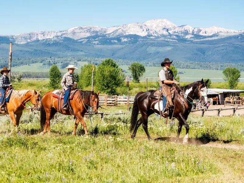 Equestrian Program