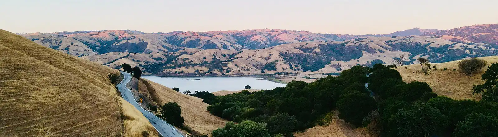 About Us - Leavitt Pacific Insurance Brokers