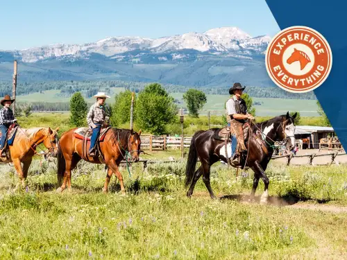 Equestrian Program
