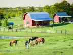 Small Farm & Ranch Insurance