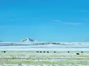 Shelby, MT Office