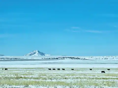 Shelby, MT Photo
