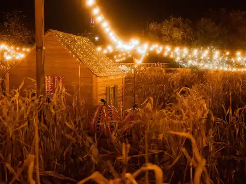 Corn Maze Insurance