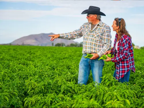 Contact Us Leavitt Group Southwest