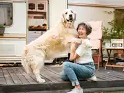 The Hidden Coverage Every RV Park Needs: Animal Liability