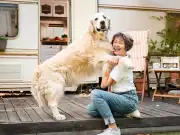 The Hidden Coverage Every RV Park Needs: Animal Liability