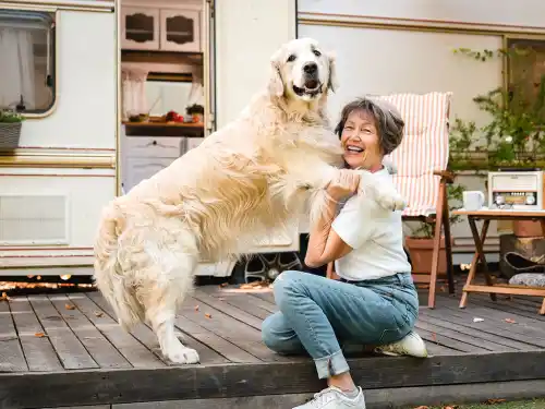 The Hidden Coverage Every RV Park Needs: Animal Liability