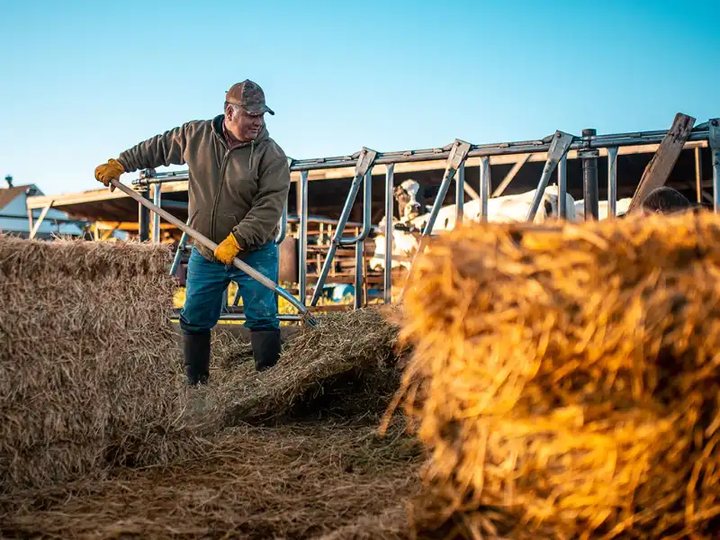 Blog 6 Cattle Insurance Coverages You May Think You Have — But Don’t