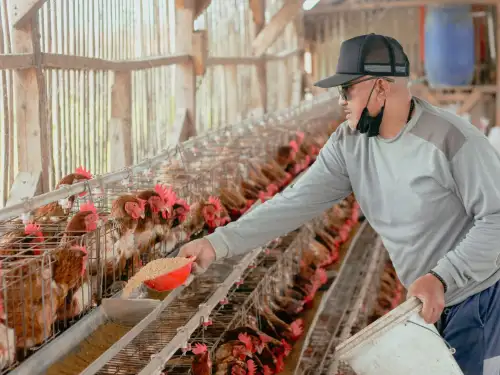 Poultry Farming Insurance