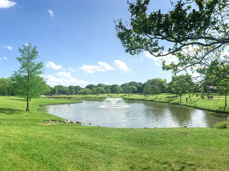 Pond and Lake Management