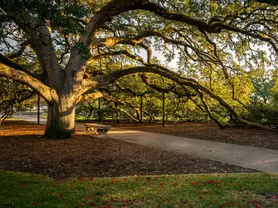 Featured Image for Areawide Insurance Advisors Joins Leavitt Group Texas Select