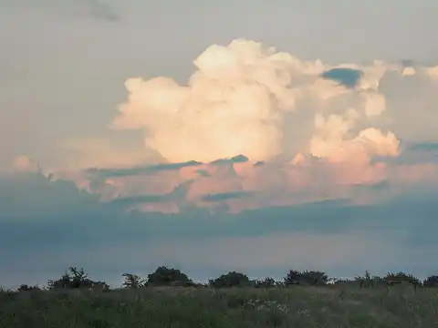 Amarillo, TX Photo