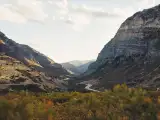 Orem, UT Email Form