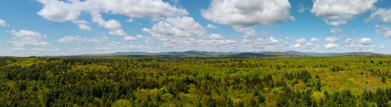 About Us - Leavitt Northeast