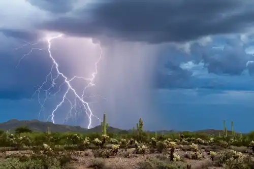 Is Your Business Ready for Arizona’s Monsoon Season?