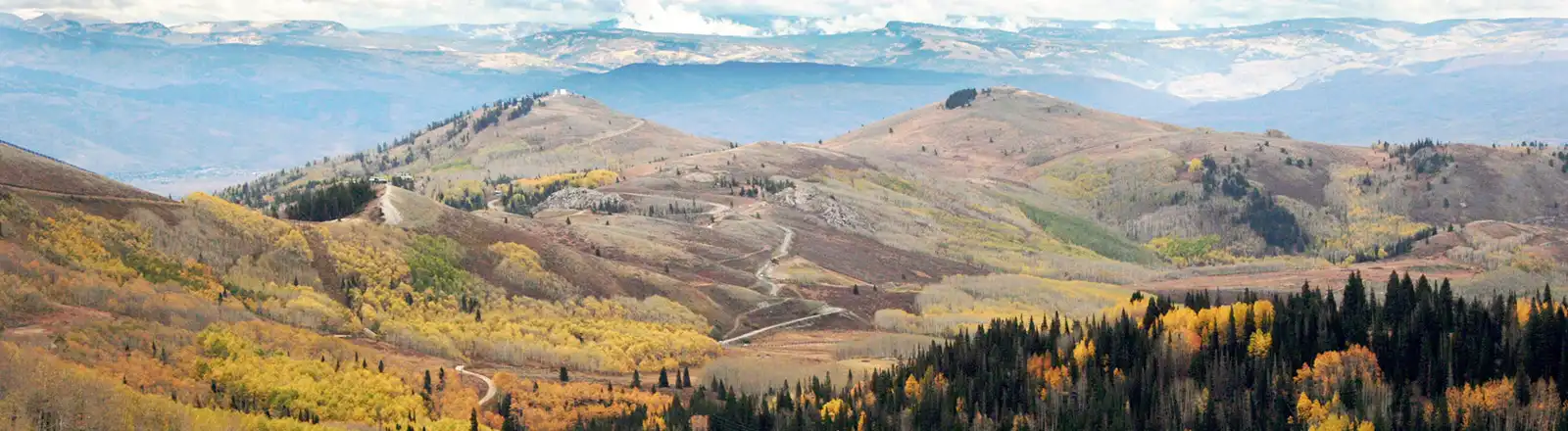 About Us - Wasatch Leavitt Insurance Agency