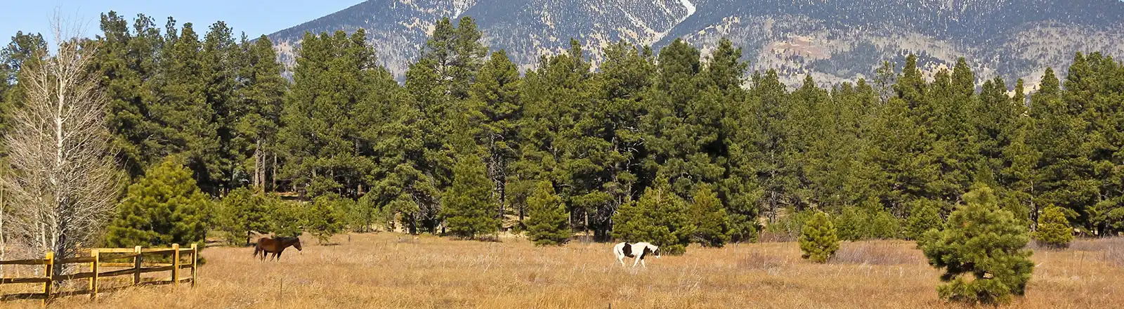 About Us - Butler-Leavitt & LGNA