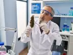 Cannabis Business Insurance