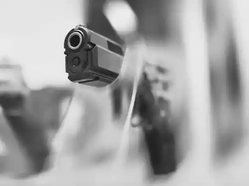 Firearms Insurance