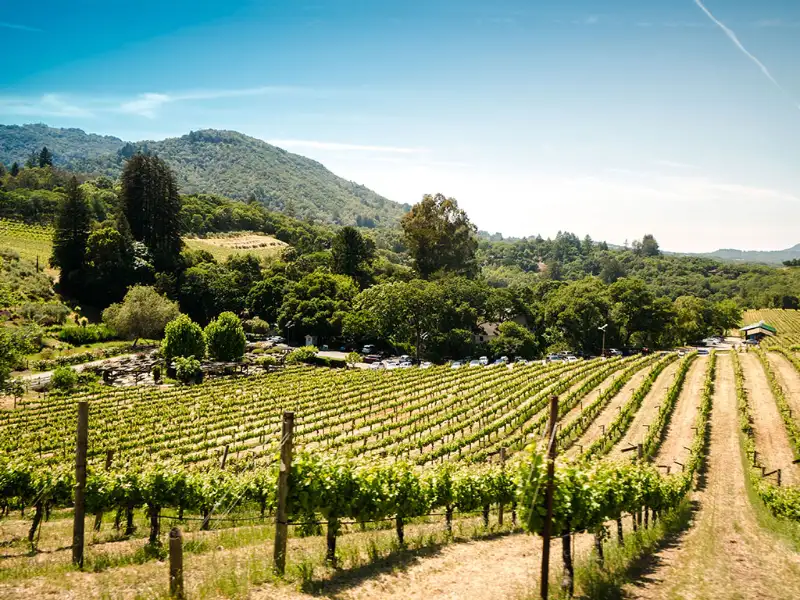 Far West Leavitt Insurance Services Featured Image