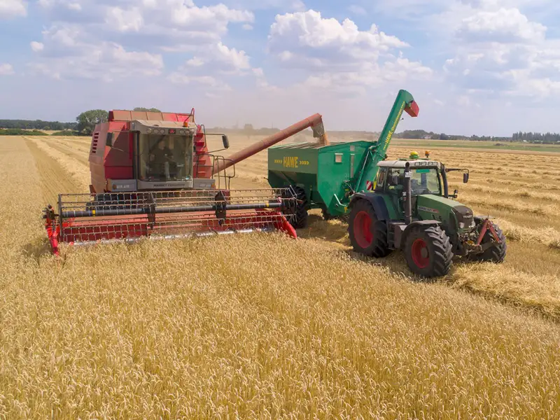 Whole Farm Revenue Protection