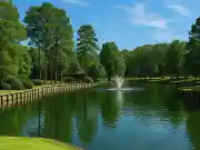 Cary, NC Office
