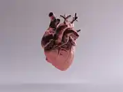 Preventing a Broken HEART