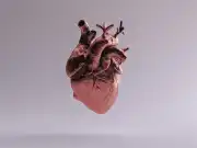Preventing a Broken HEART