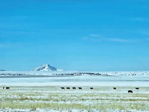 Shelby, MT Office