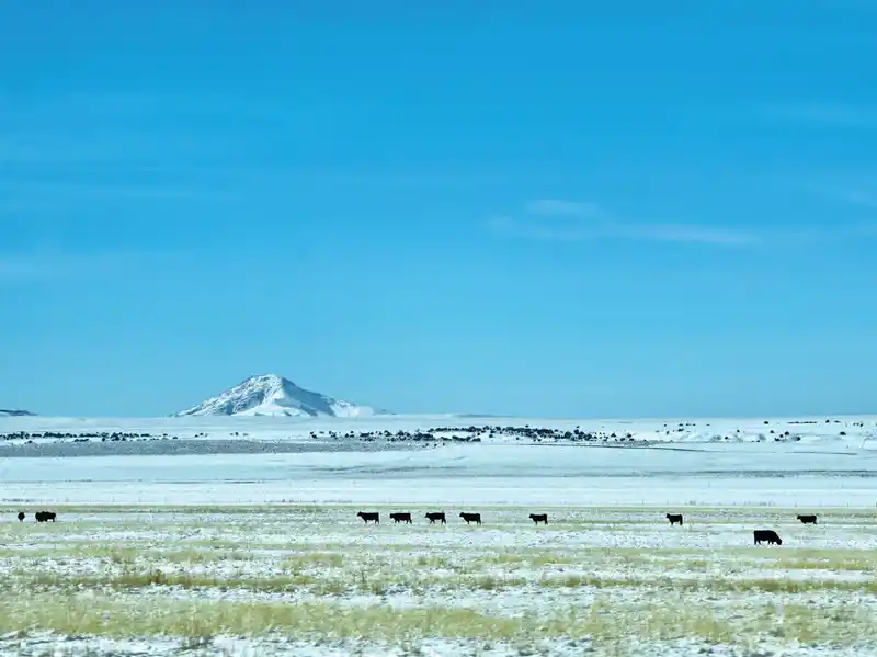 Shelby, MT Office