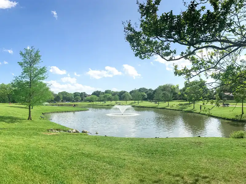 Pond and Lake Management